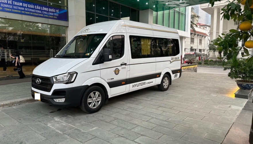 Luxury Limousine 11 Seats 